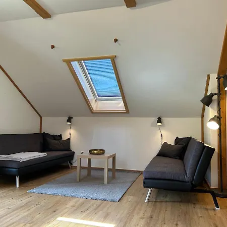 アパートホテル Diana バド クラインキルヒハイム